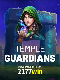 Game Statistics 2177win
