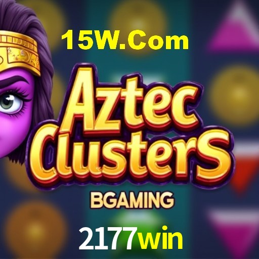 Interface Premium 2177win